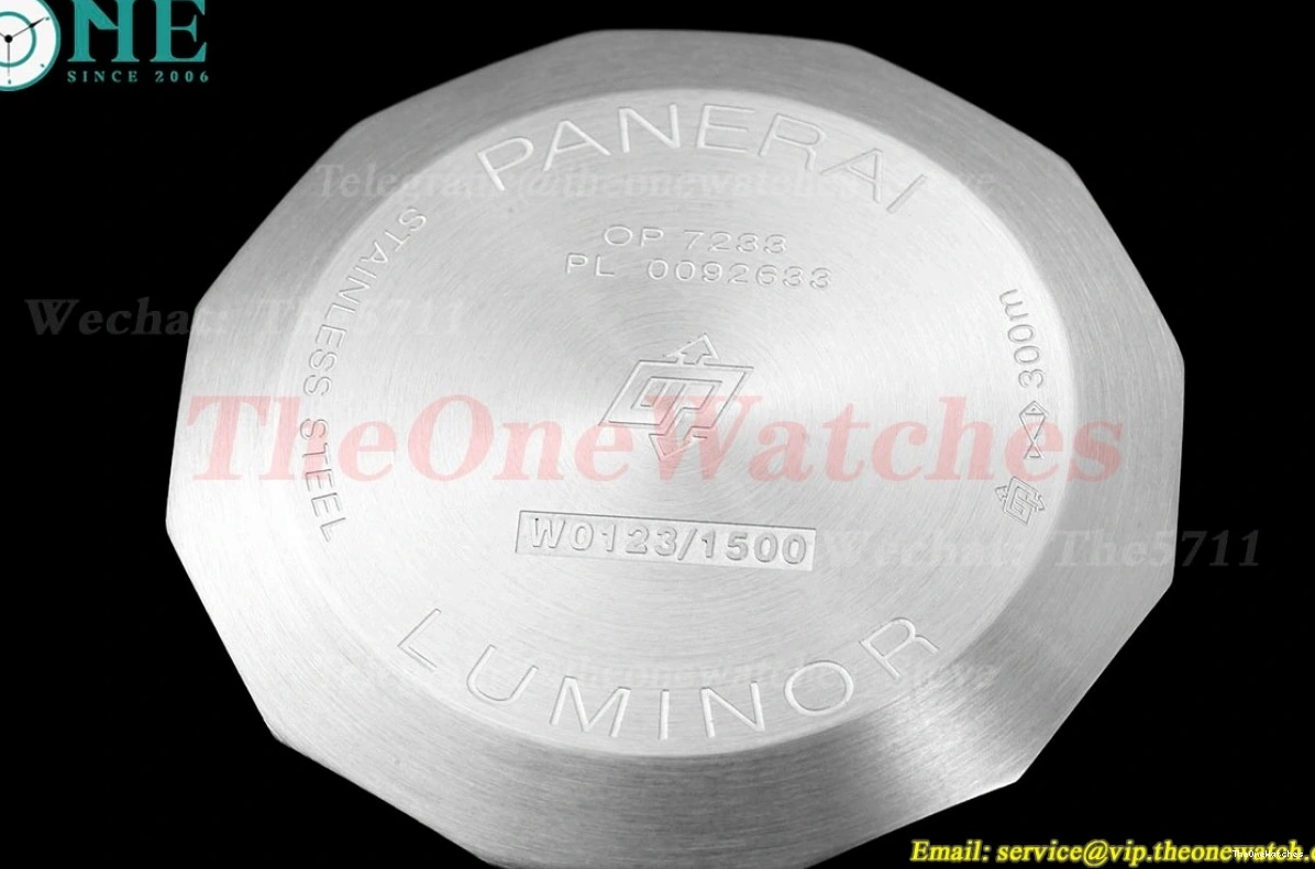 LE A9010 Dial PAM1313 44mm TTF Luminor SS Blue 0120